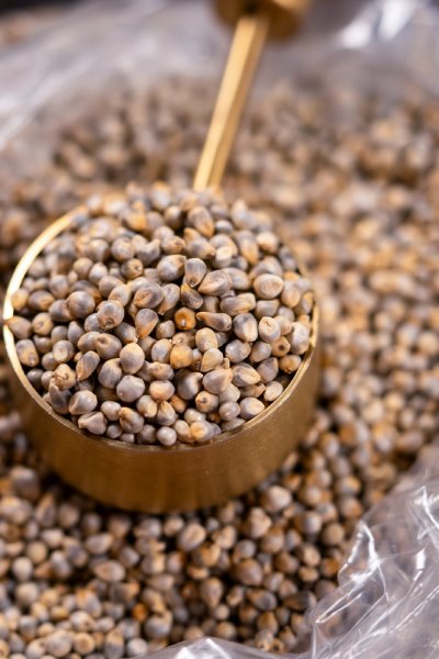 Bajra (Pearl Millet)