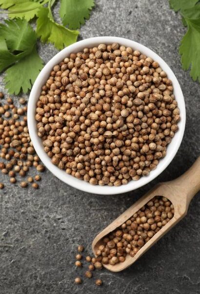 Coriander Seeds (Dhania)
