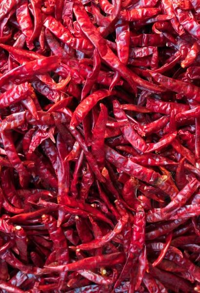 Red Chilies